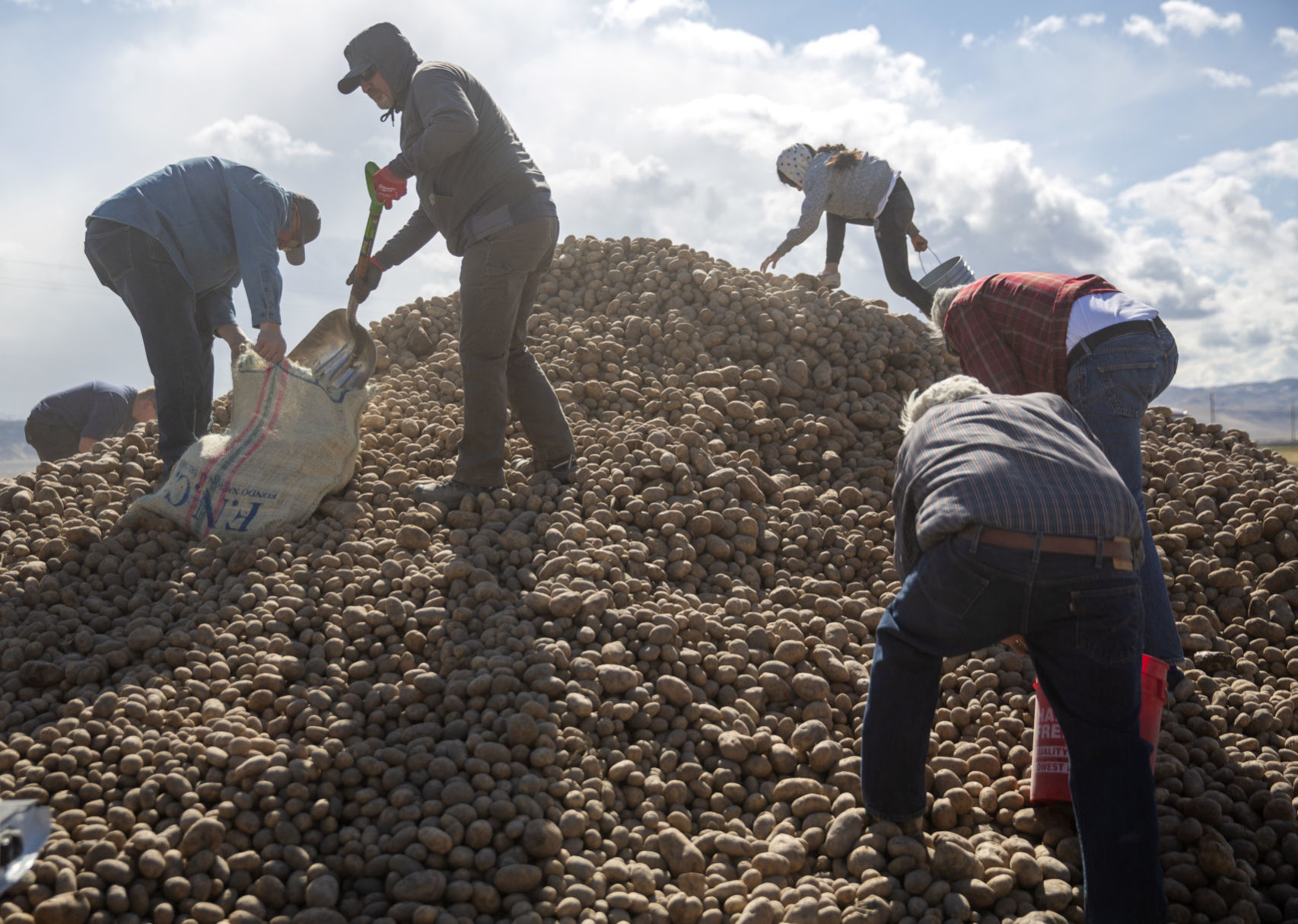 Potato farmers unable to sell all of their inventory